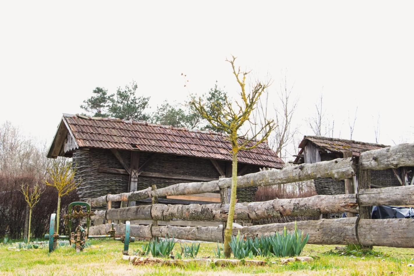 Country House Ivancan Molve Esterno foto
