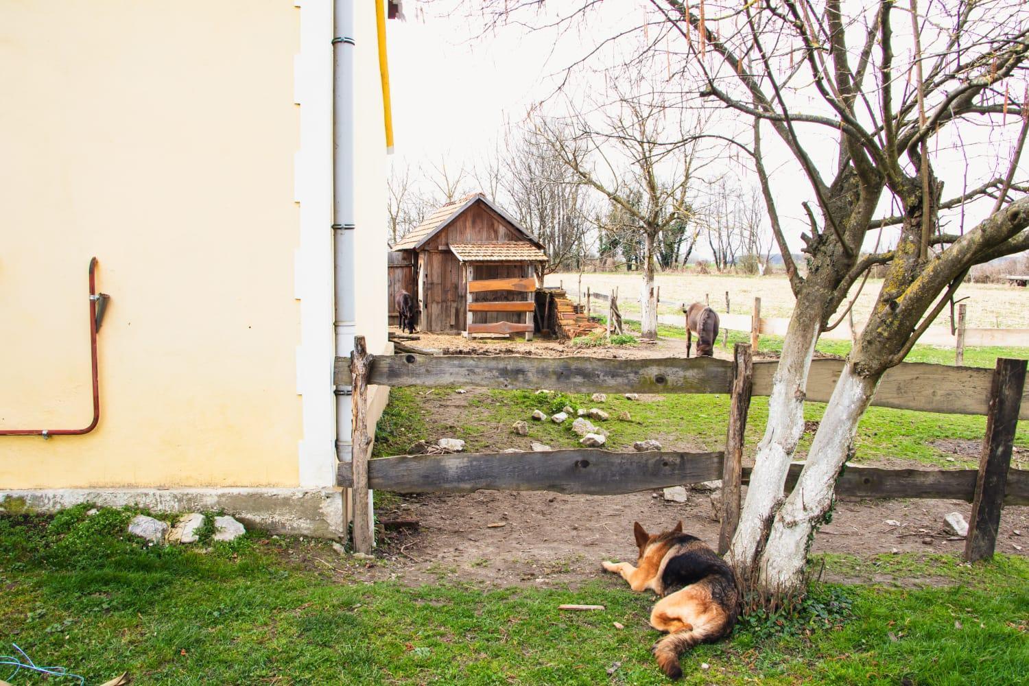 Country House Ivancan Molve Esterno foto