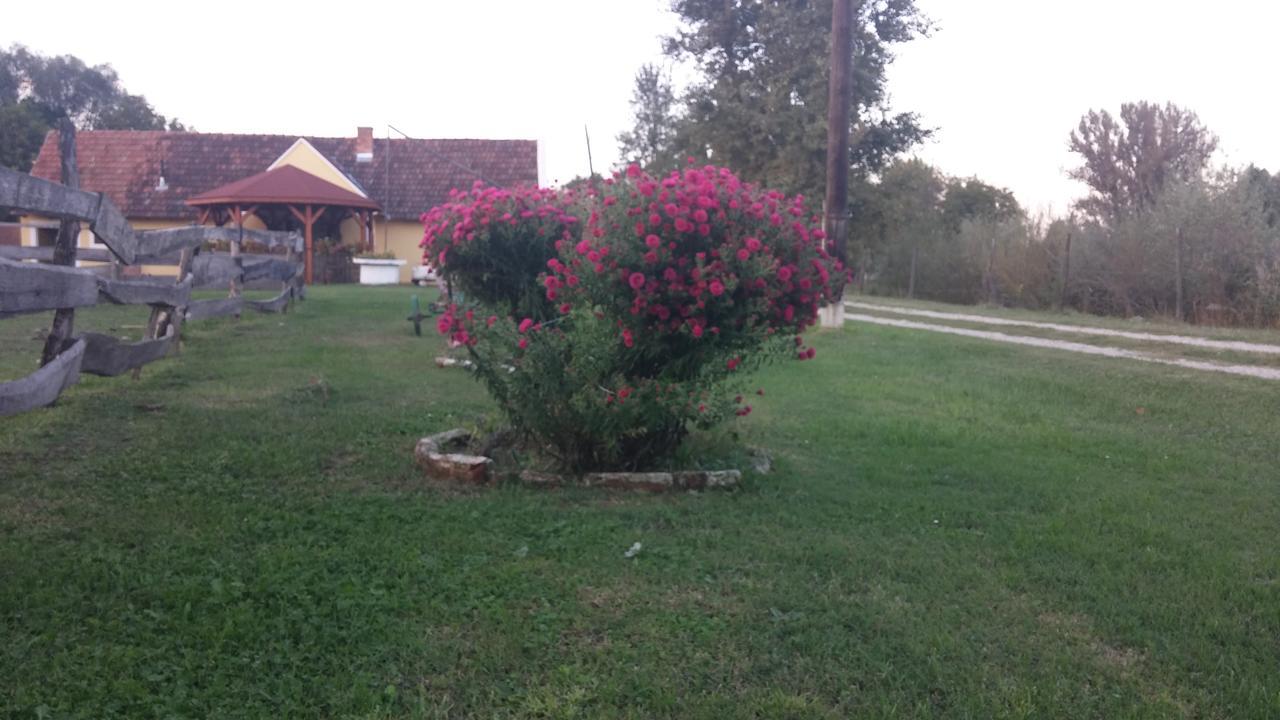 Country House Ivancan Molve Esterno foto